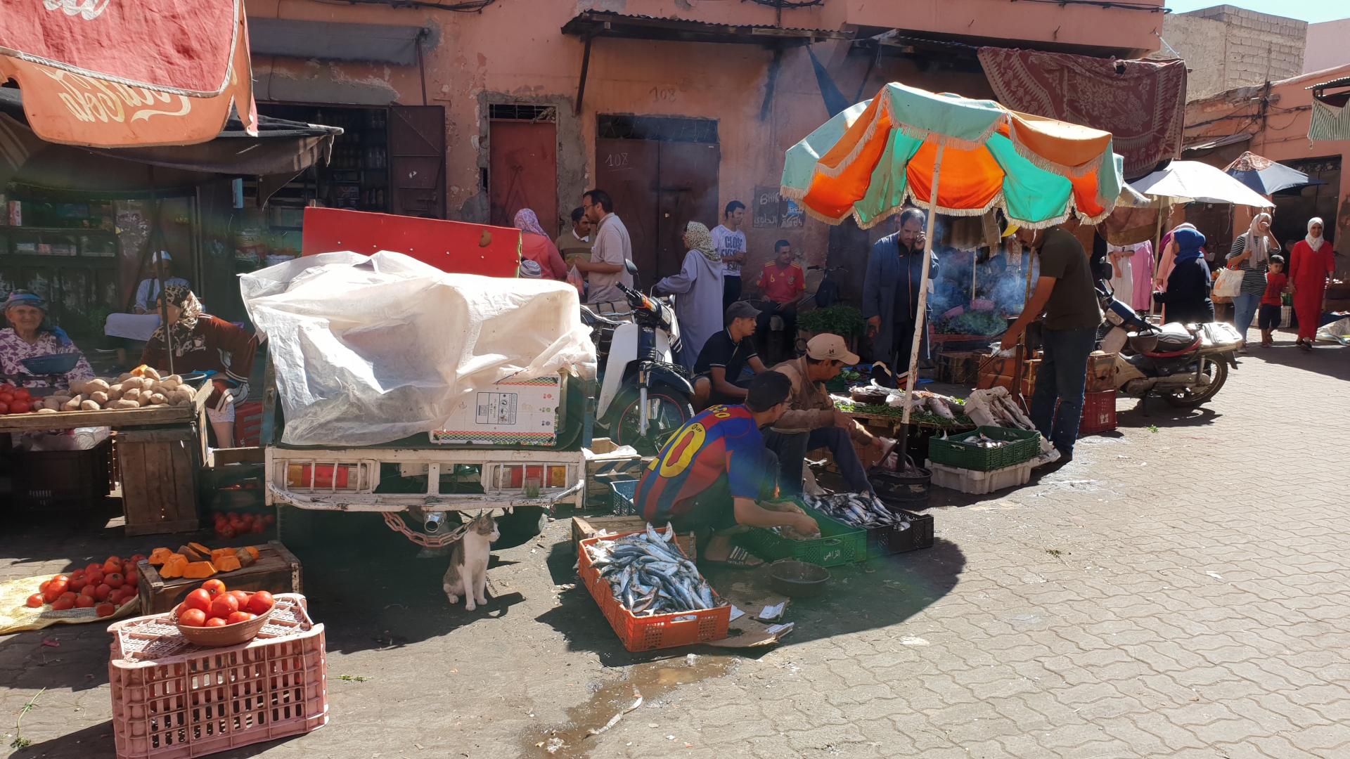 Dans les rues de Marrakech par Bruno ansoud 8