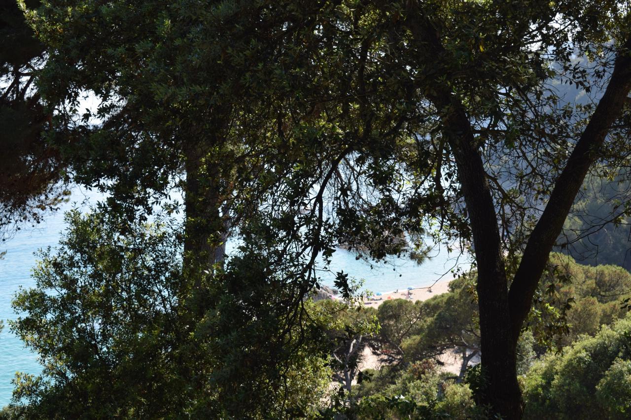 DSC_0121