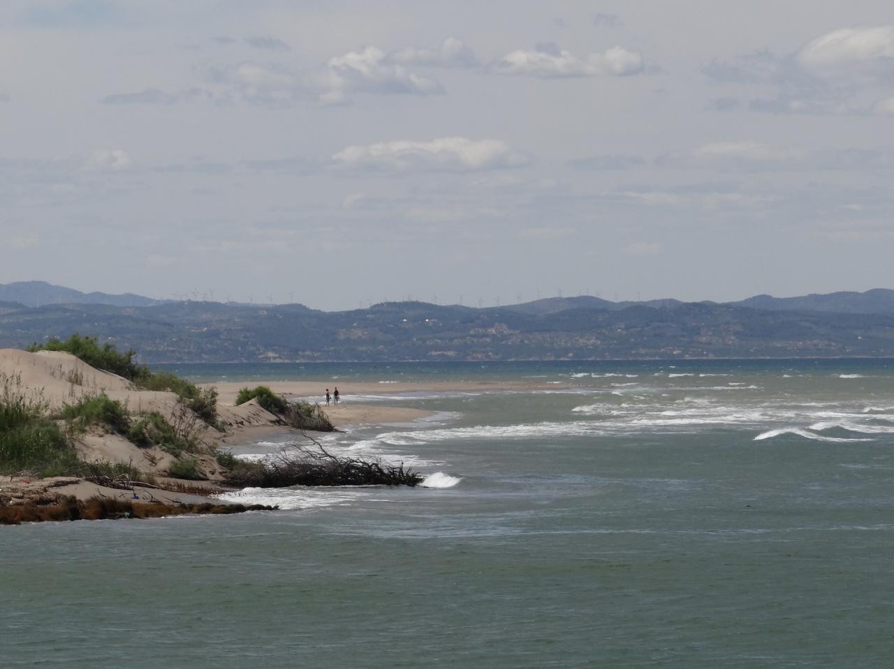 DSC00156