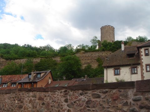 DSC02407