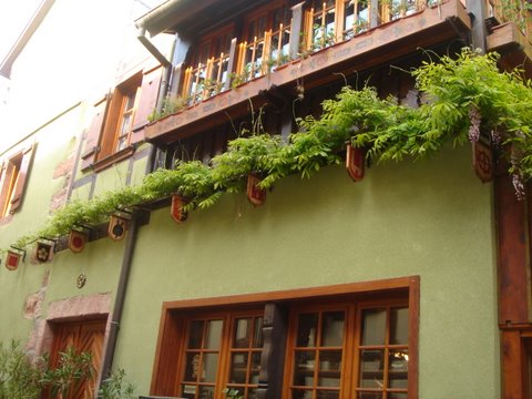 DSC02414