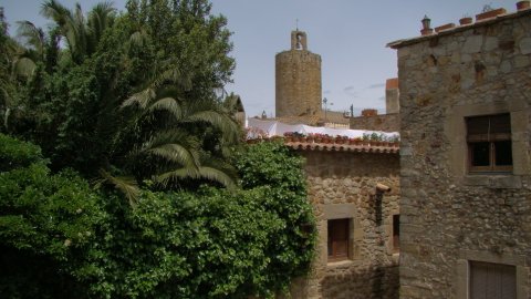 DSC02481