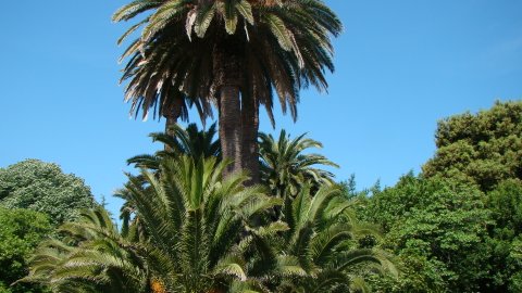 DSC02533