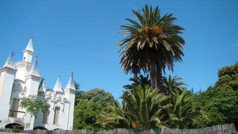 DSC02534