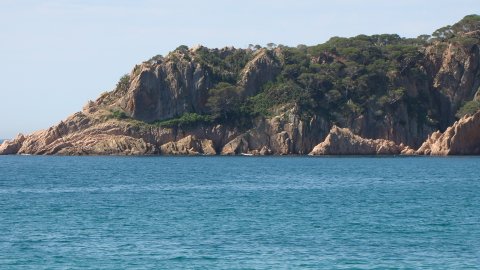 DSC02539