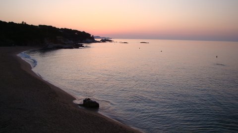 DSC02570