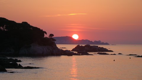 DSC02589