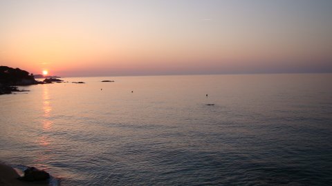 DSC02597