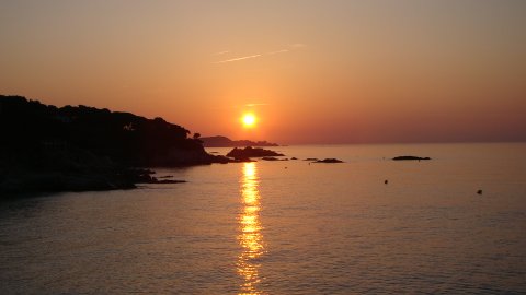 DSC02606