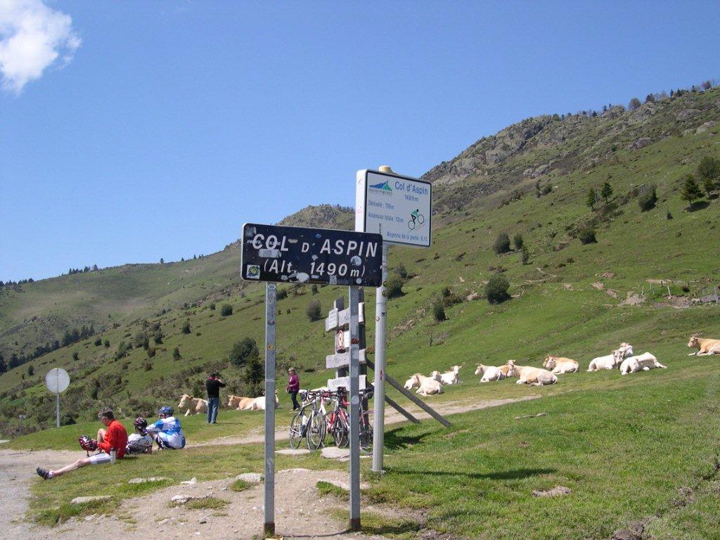 DSCN0806