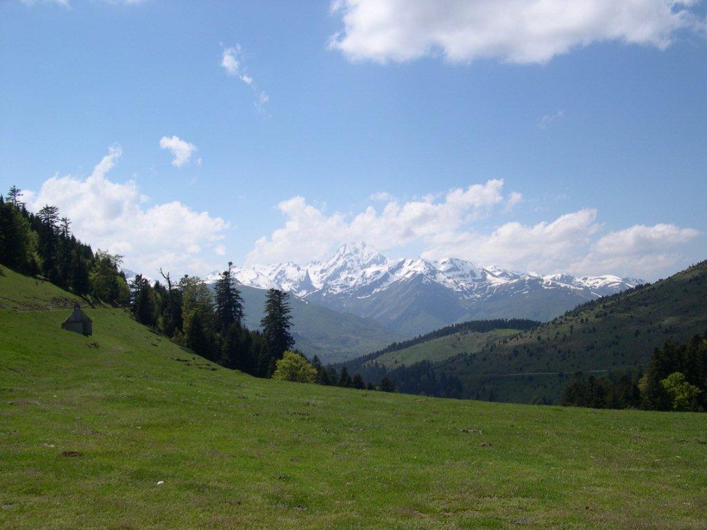 DSCN0807