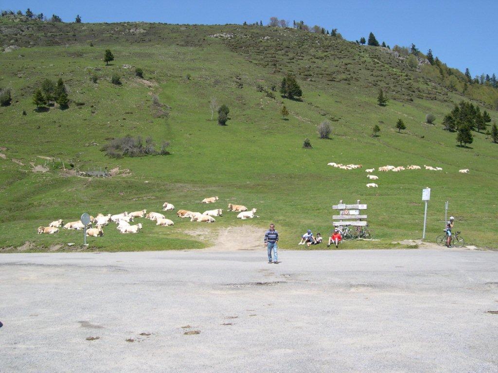 DSCN0812