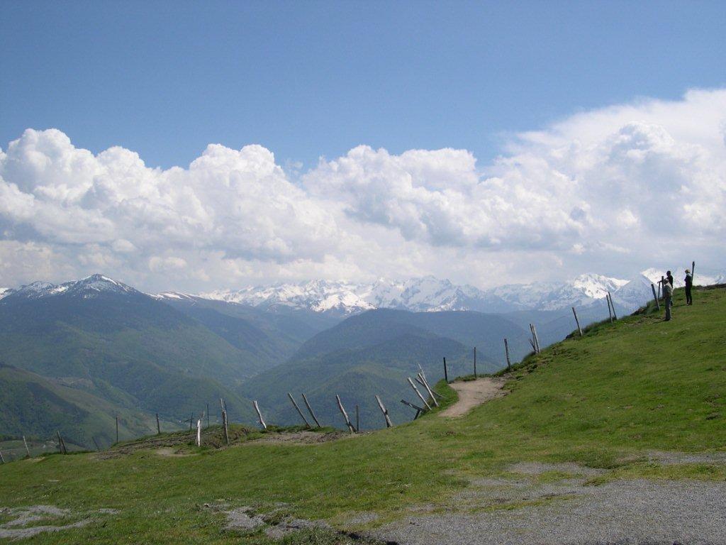 DSCN0813