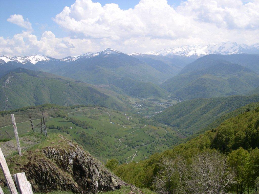 DSCN0814