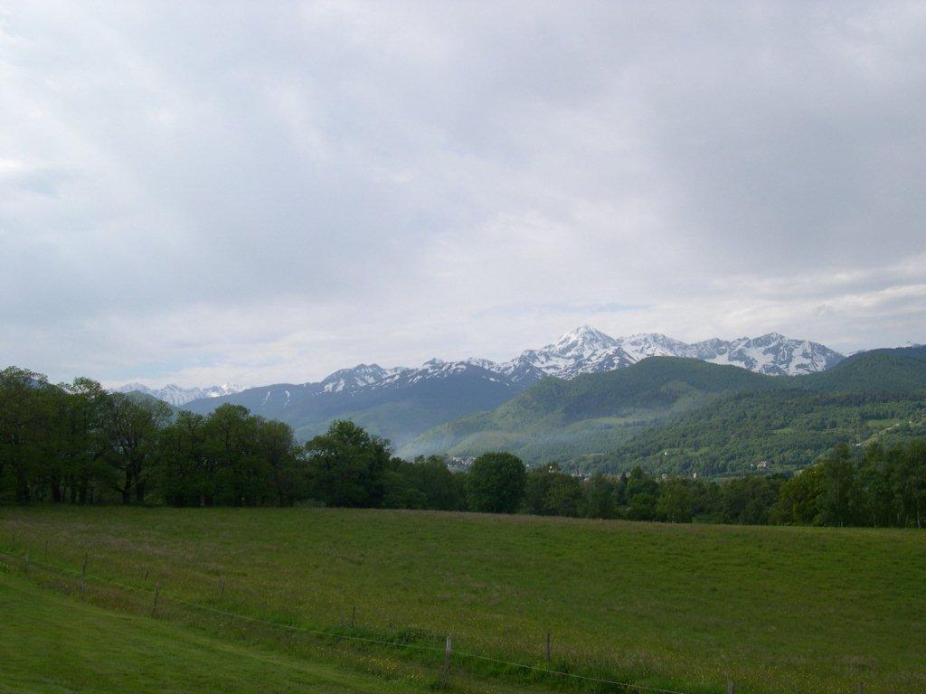 DSCN0840