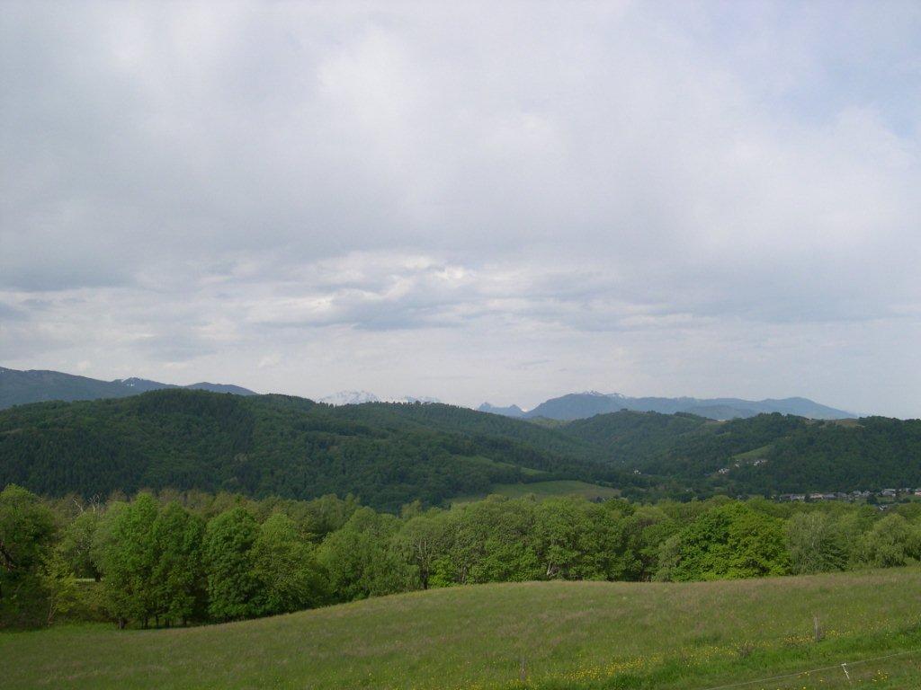 DSCN0842