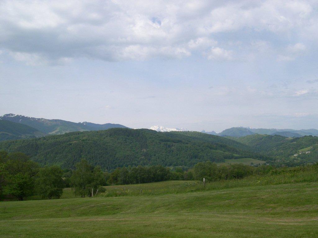 DSCN0847