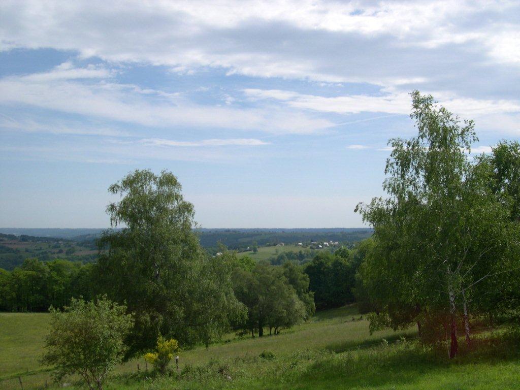DSCN0849