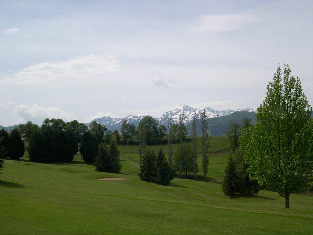 DSCN0852