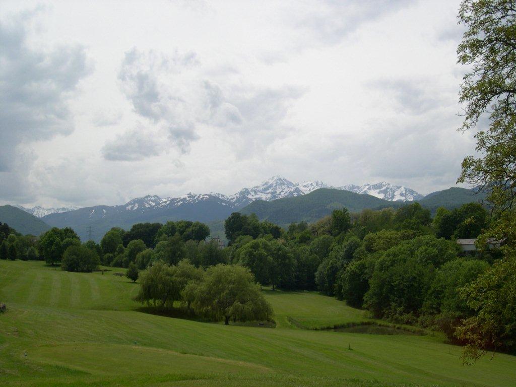 DSCN0856