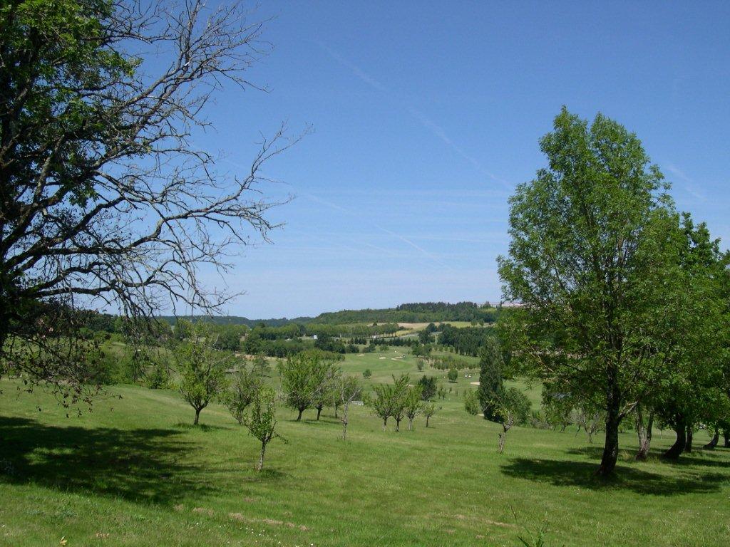 DSCN1390