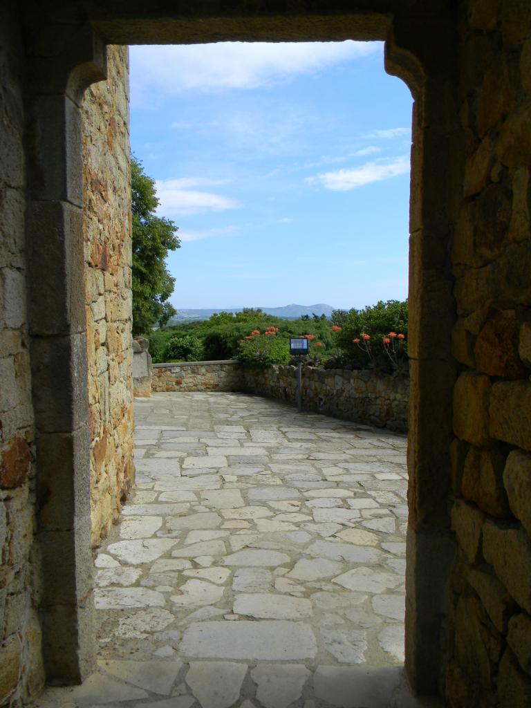 DSCN1756