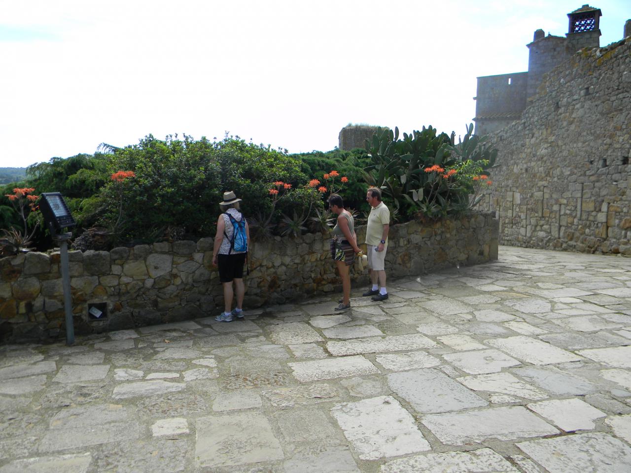 DSCN1757