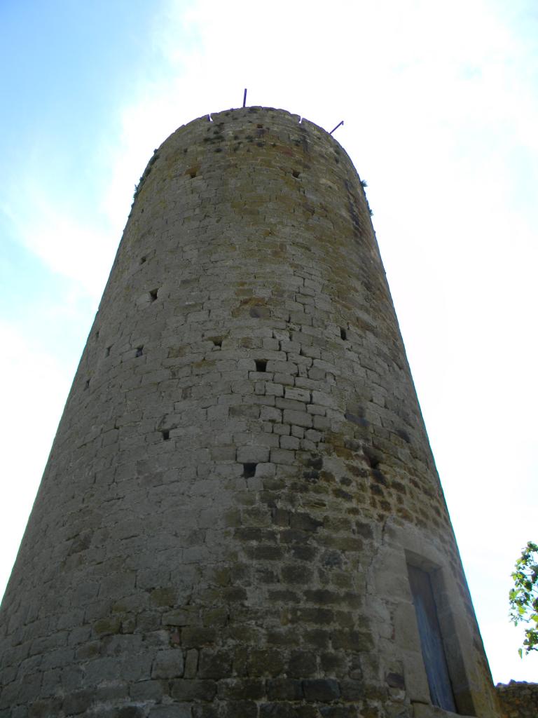 DSCN1764