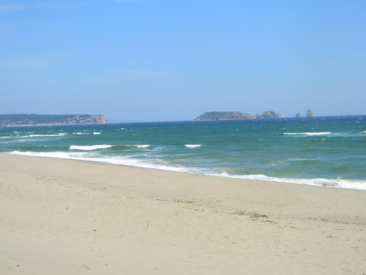 DSCN1774