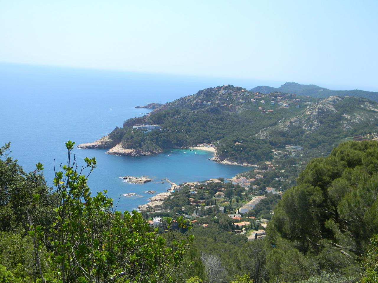 DSCN1778