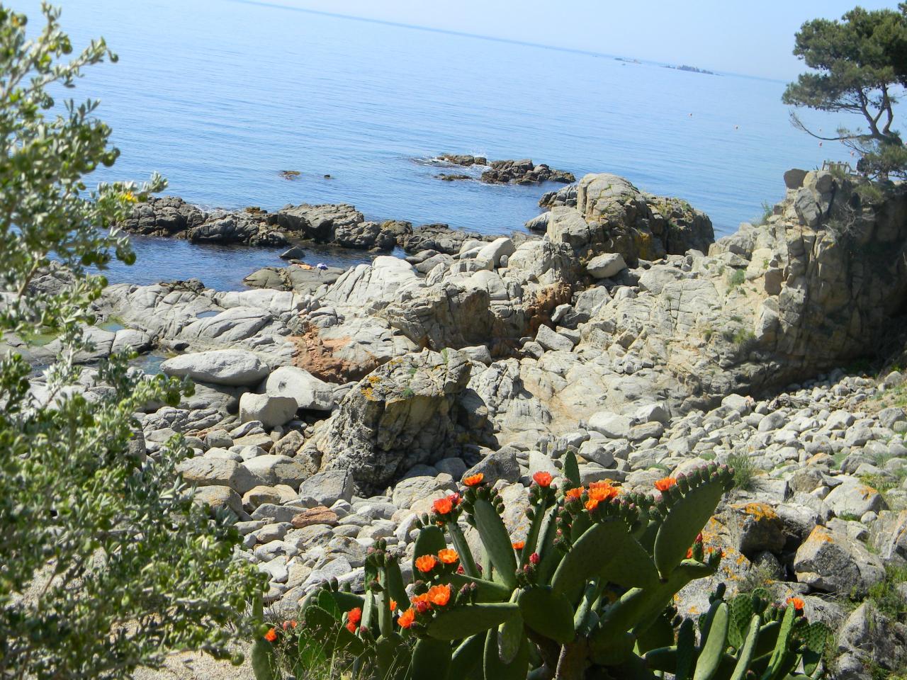 DSCN1795