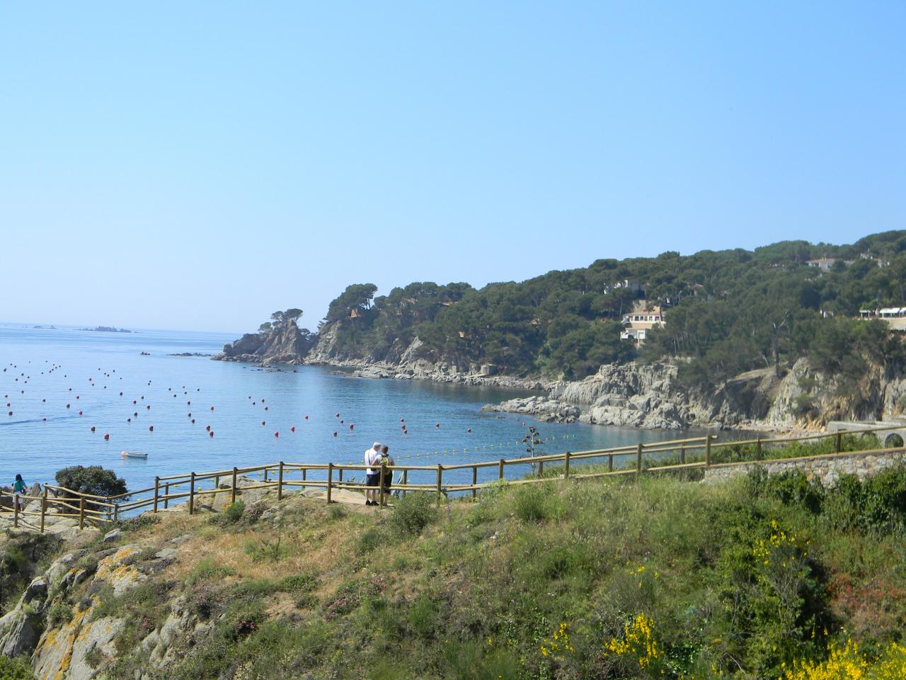DSCN1799