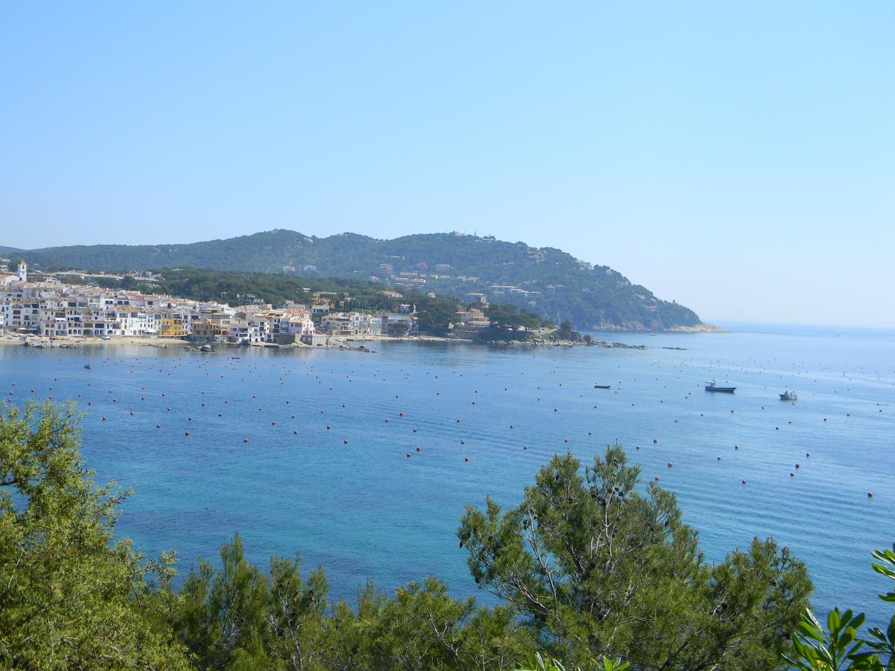 DSCN1806