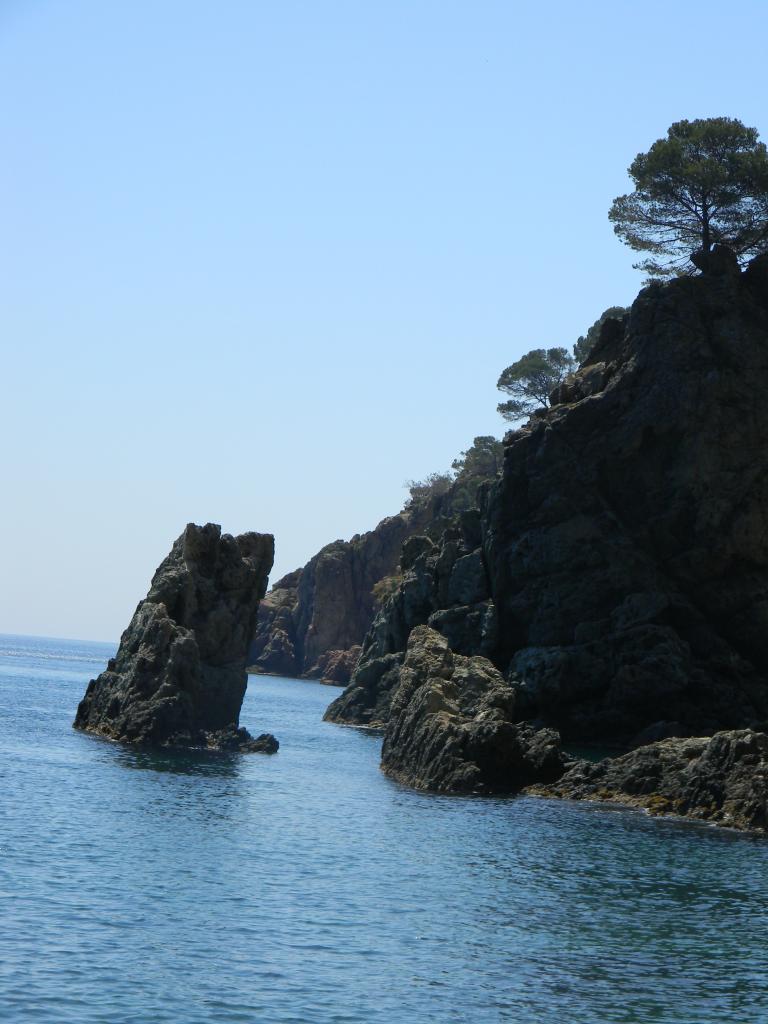 DSCN1807