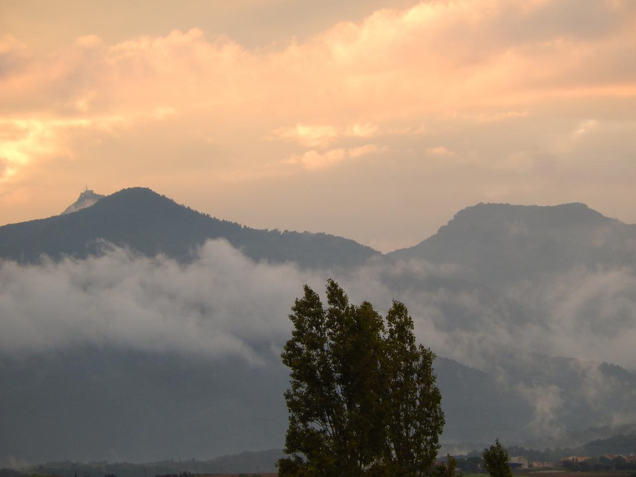 DSCN6883
