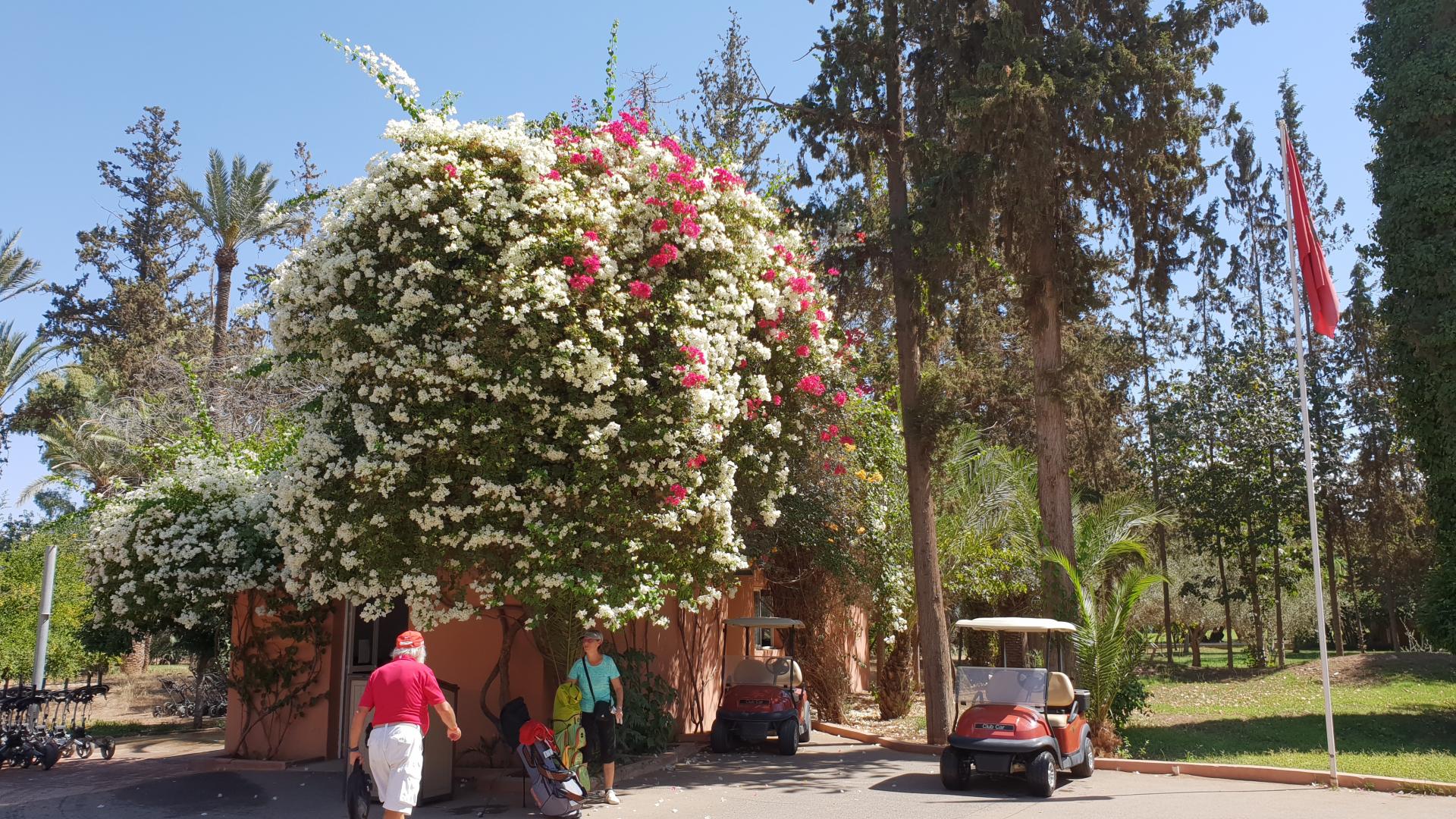 Golf Marrakech par Bruno Ansoud 4