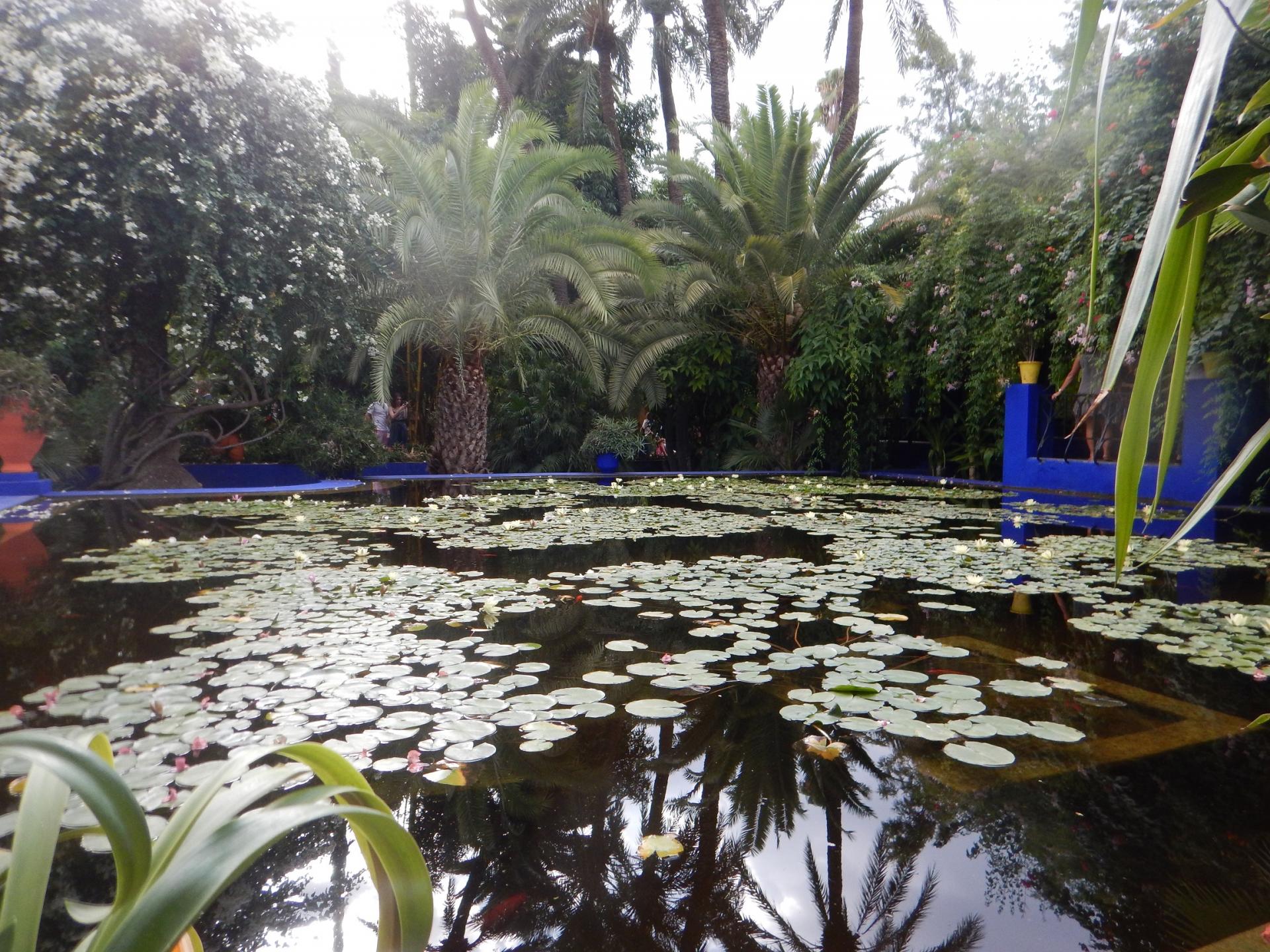 Jardin Majourelle 13