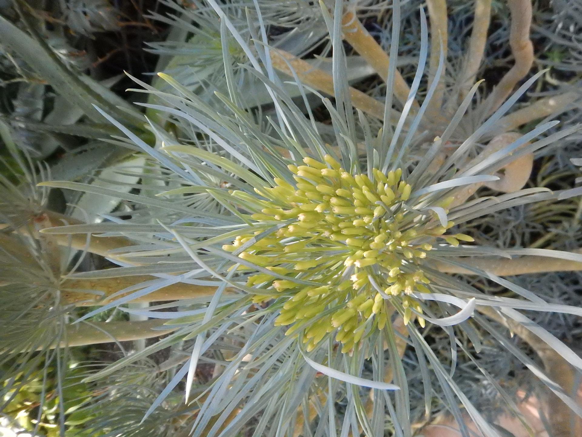 Le Jardin Secret 5