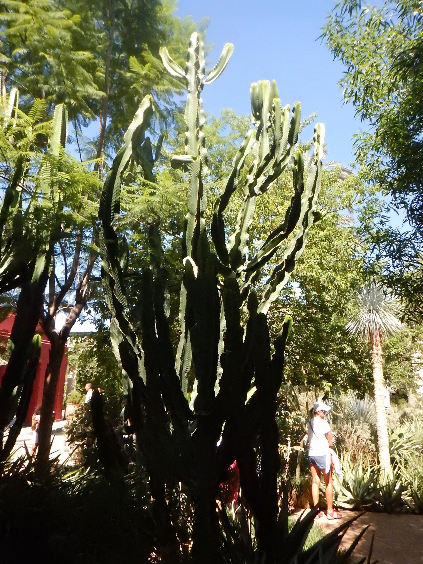 Le Jardin Secret 6
