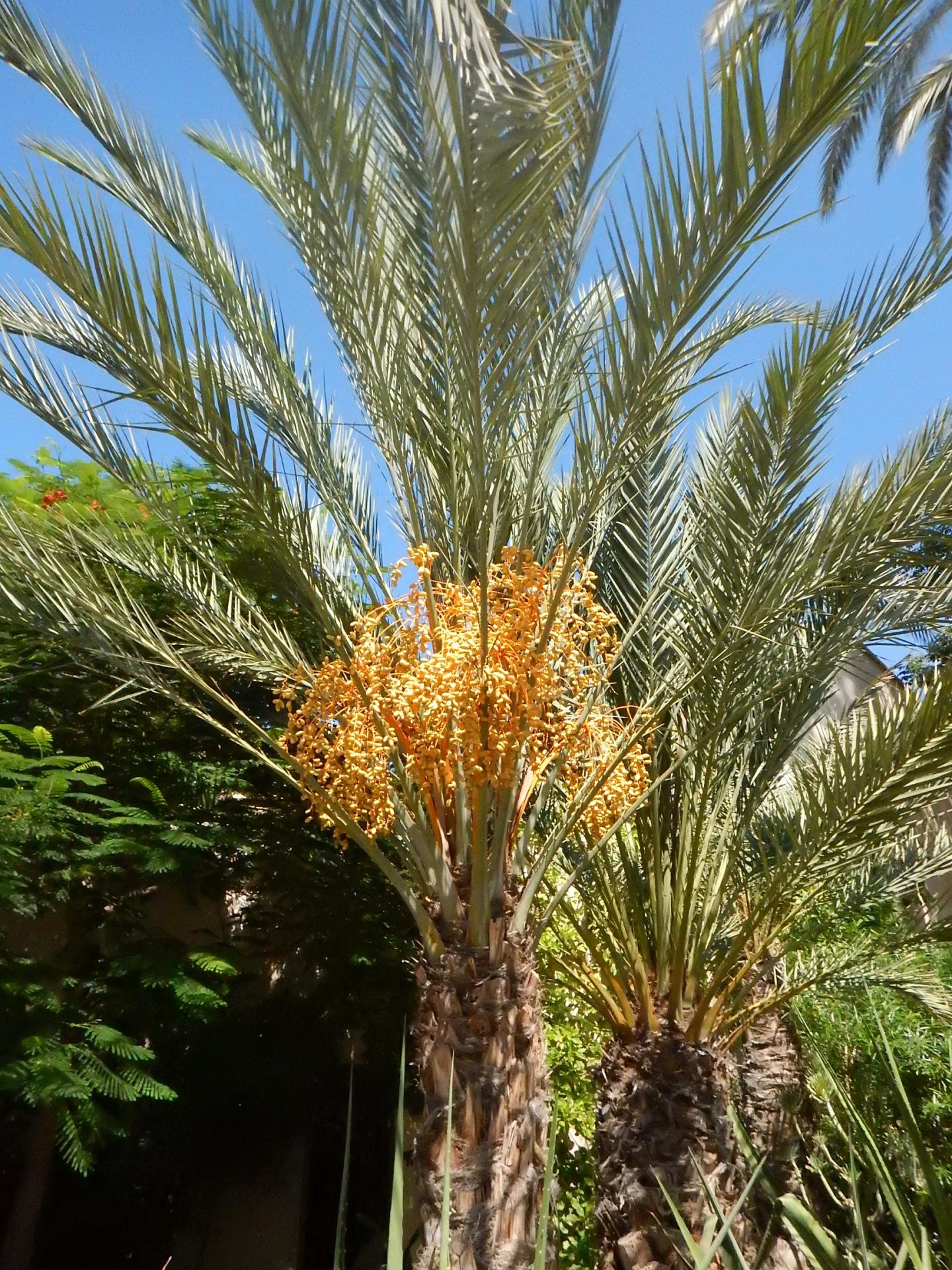 Le Jardin Secret 7