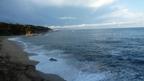 P1010629