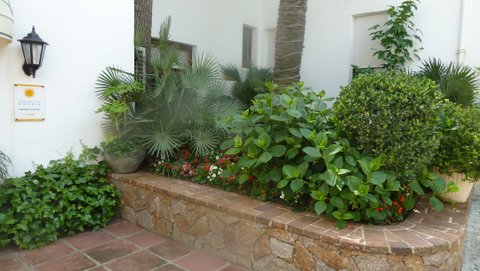 P1010684