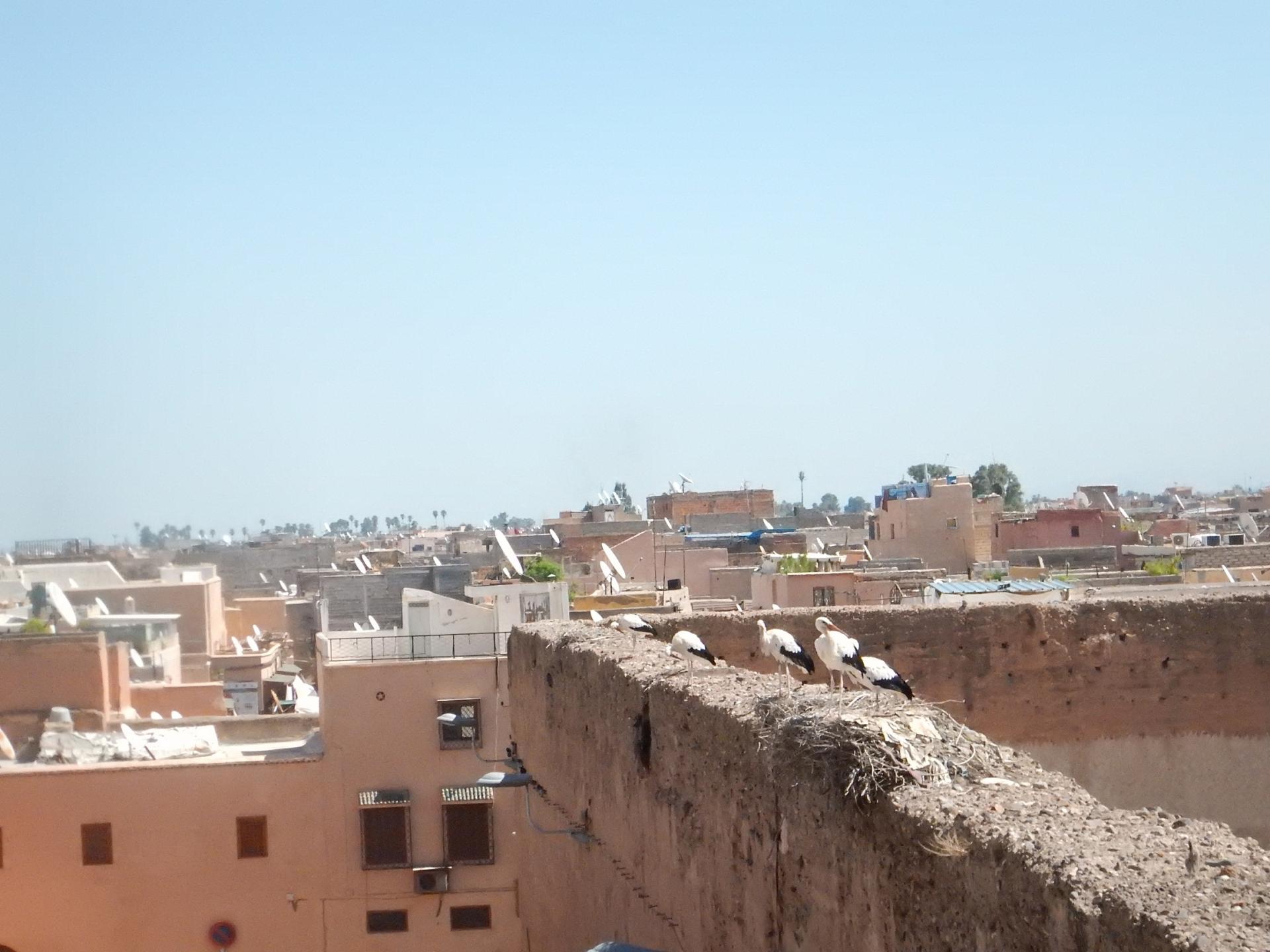 Palais Badi 9