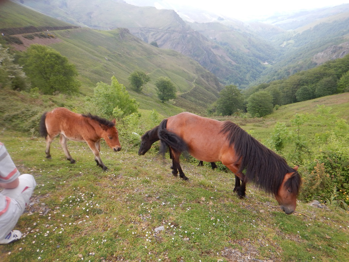 Sortie du mercredi 12