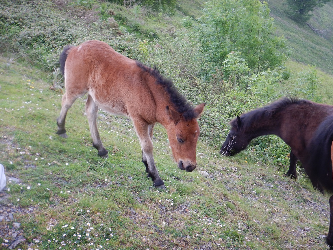 Sortie du mercredi 13