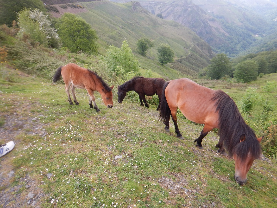Sortie du mercredi 14