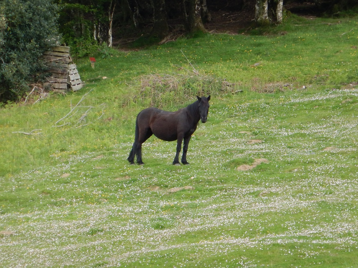Sortie du mercredi 15