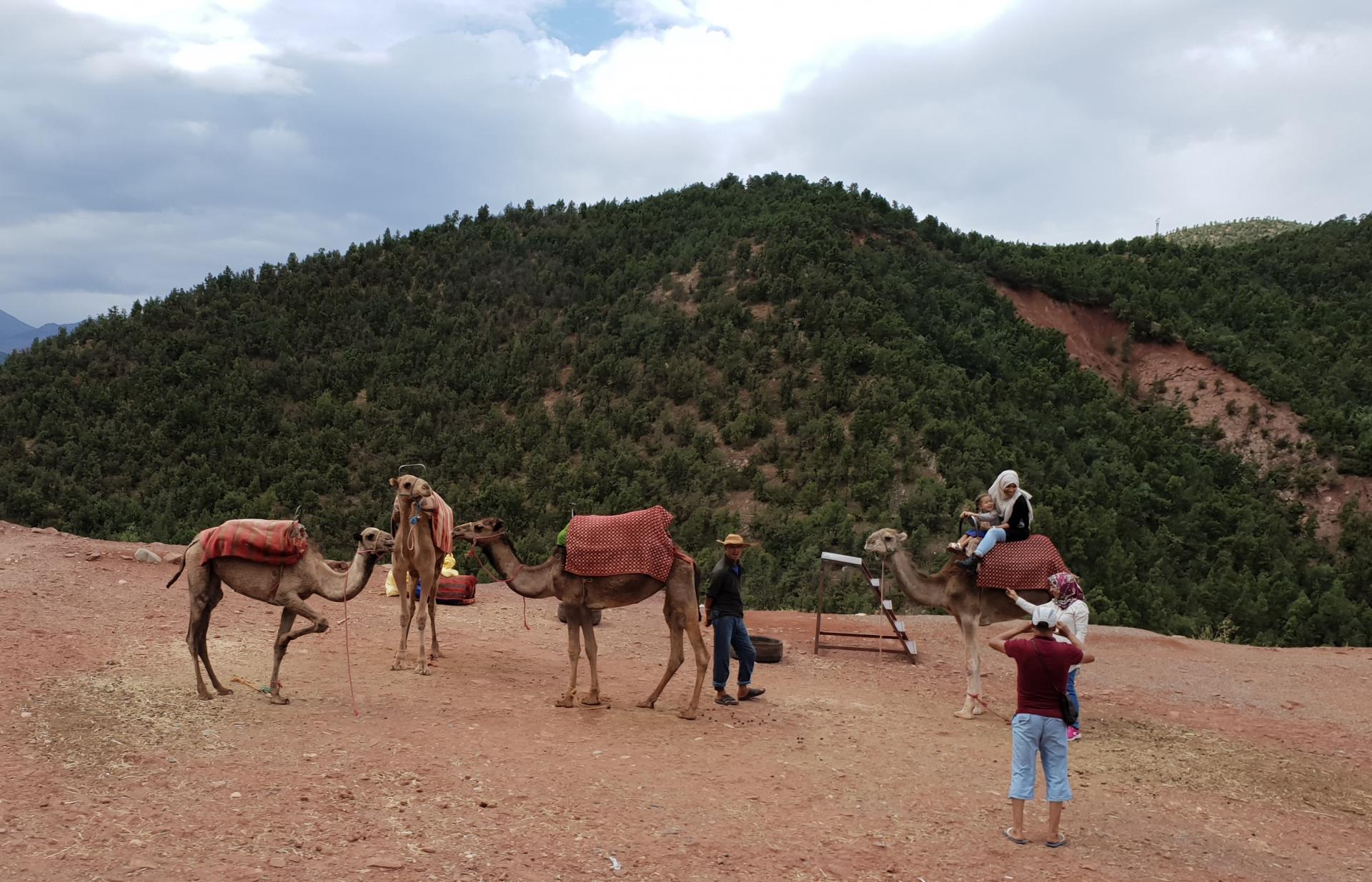 Sortie Vallée de l'Ourika par Bruno ansoud 6